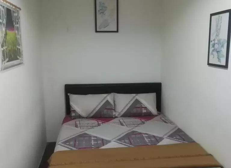 Schronisko Backpacker S Stay Services