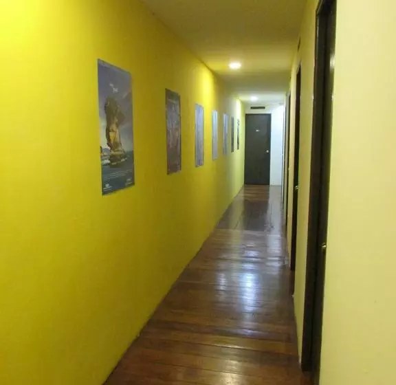 Schronisko Backpacker S Stay Services