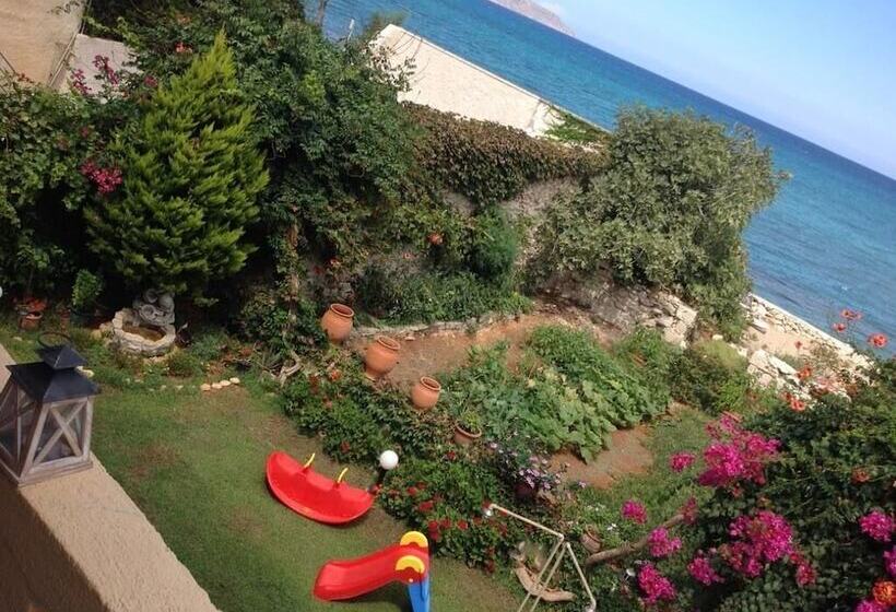 Asterias Studios & Apartments