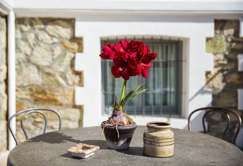 Classic Villas Ouziel