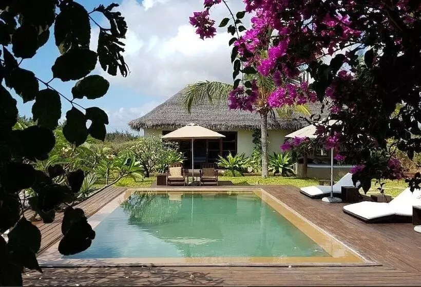 ホテル Chuiba Bay Lodge