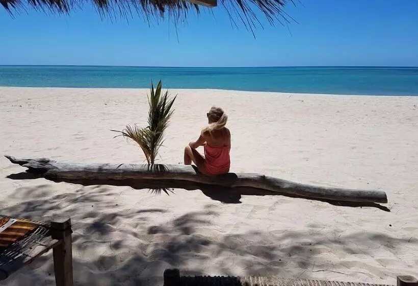 ホテル Chuiba Bay Lodge