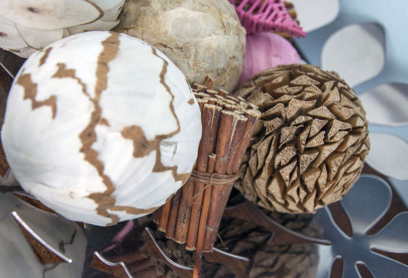 בית מלון כפרי Retreat On Hove