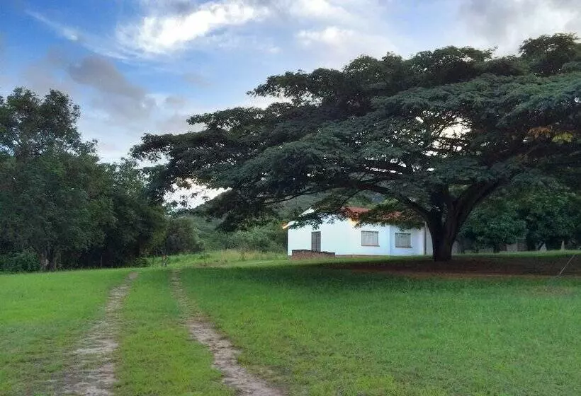 Near2numbi