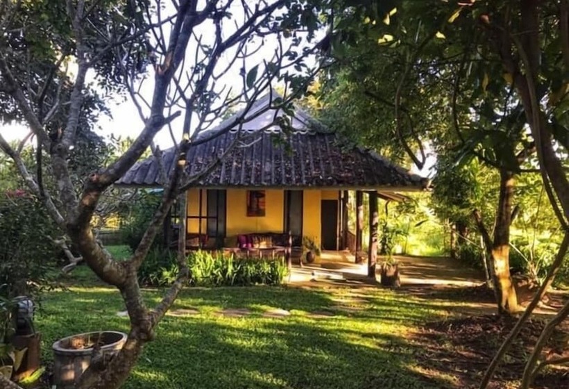 פנסיון Ban Nam Hoo