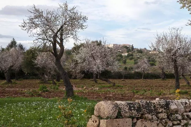 Zahir Country House