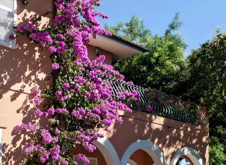 ホテル Villa Garulli