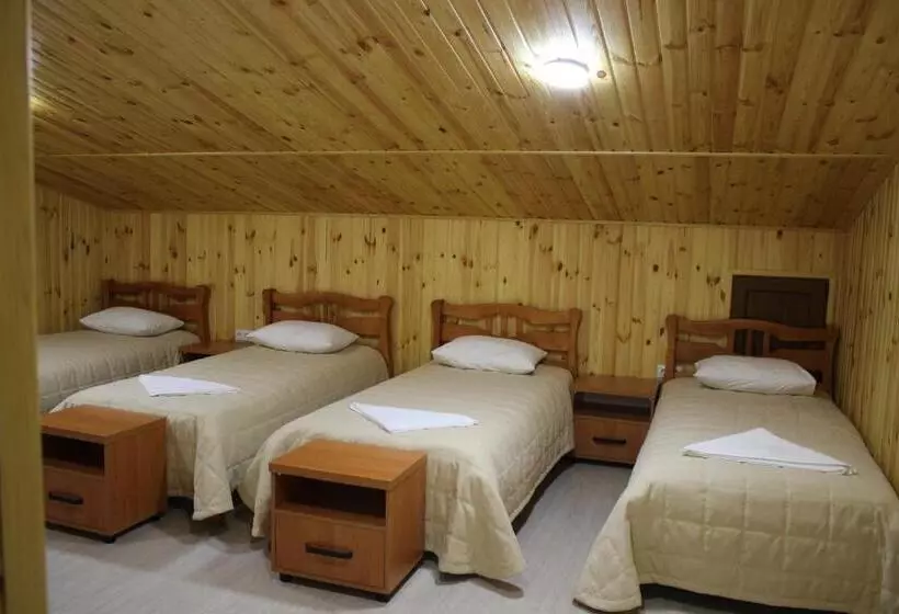 Hostel Vinograd