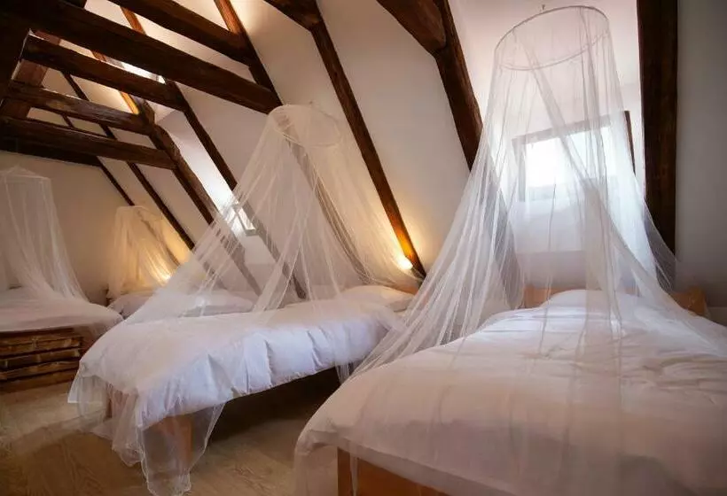 Women S Only Hostel   Female Only