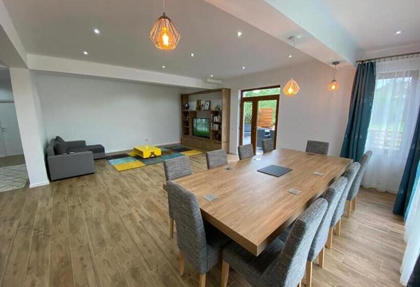 호텔 Agropensiunea La Bunici