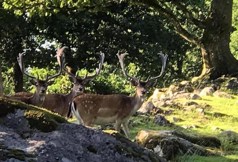 بنسيون Stuga   Ulvereds Hjorthägn