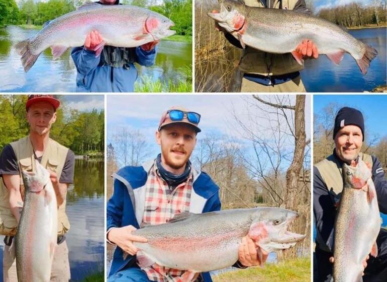 بنسيون Stuga   Ulvereds Hjorthägn