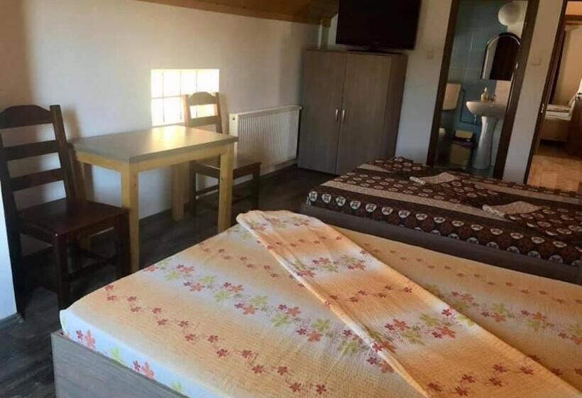 Pensiunea Valea Oiasca