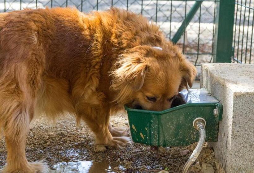 Alberg Cabrera De Mar Xanascat