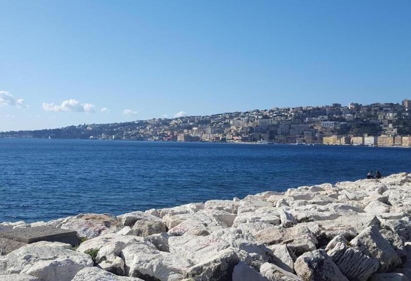 B&b Carolina Plebiscito R