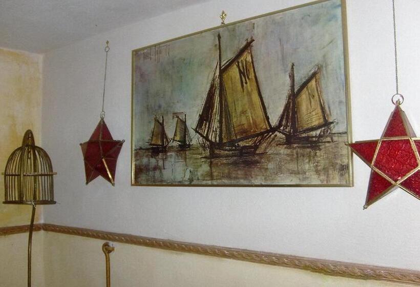 B&b Carolina Plebiscito R