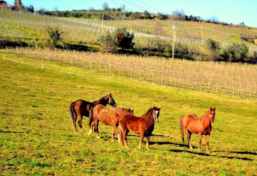 فندق Villa Rignana   Chianti Weddings