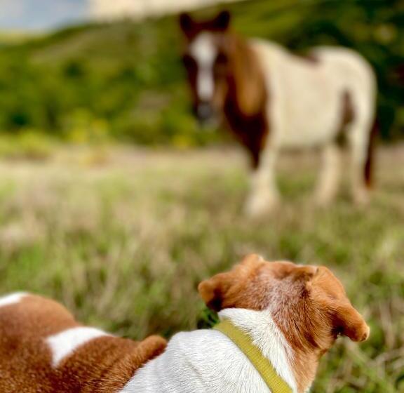 فندق Villa Rignana   Chianti Weddings