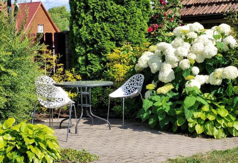 پانسیون Chalet Villa Rex