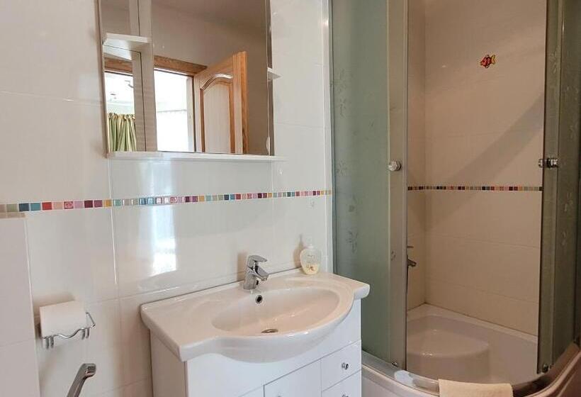 پانسیون Chalet Villa Rex