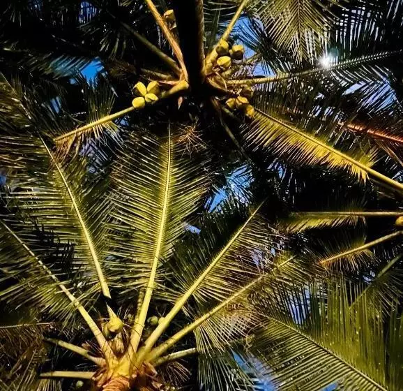 Majatalo Perfect View Mirissa