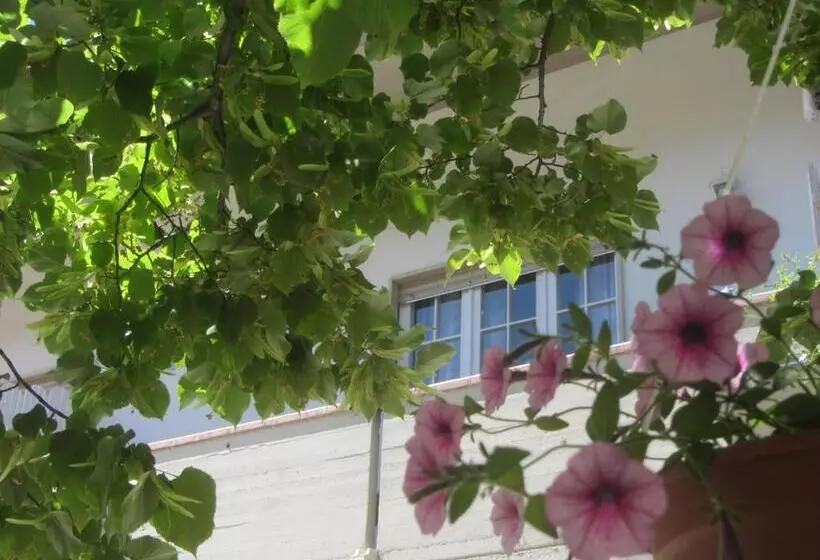 B&b Il Country E Il Mare