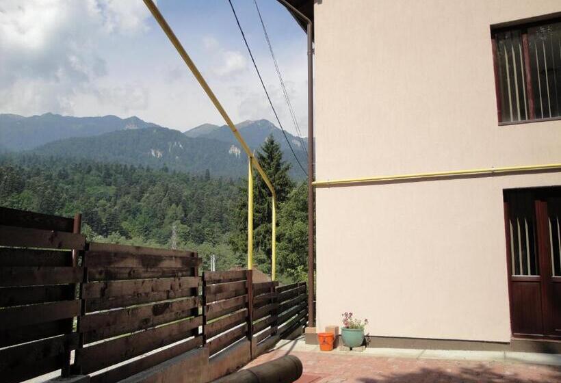 Bed and Breakfast Pensiunea Roua