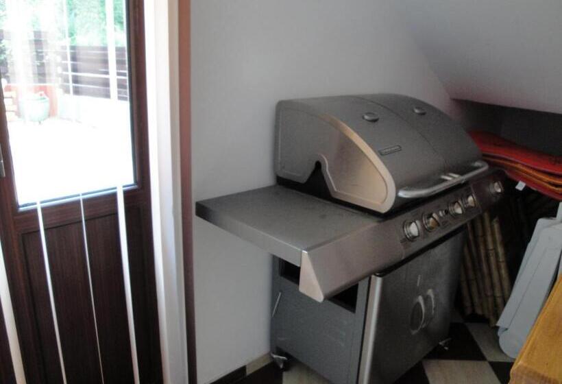 Bed and Breakfast Pensiunea Roua