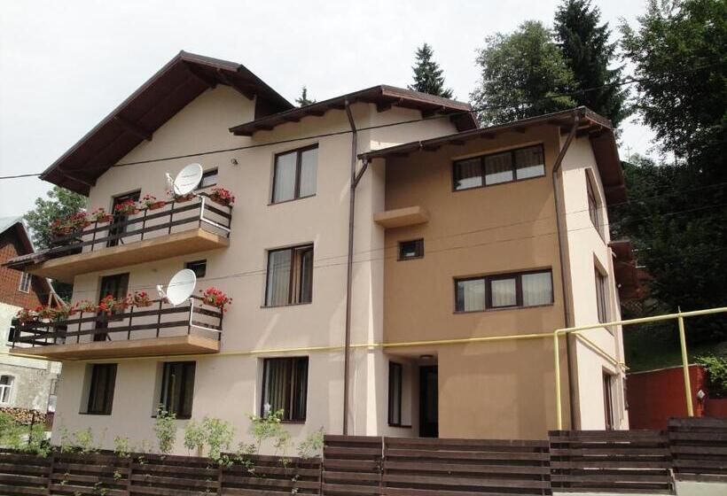 Bed and Breakfast Pensiunea Roua