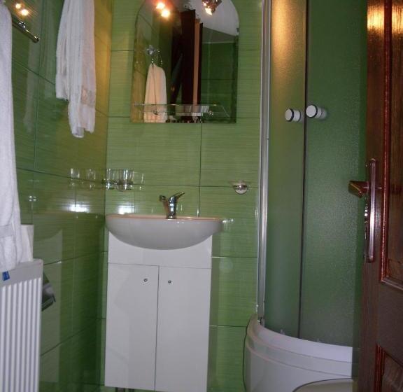 Bed and Breakfast Pensiunea Roua