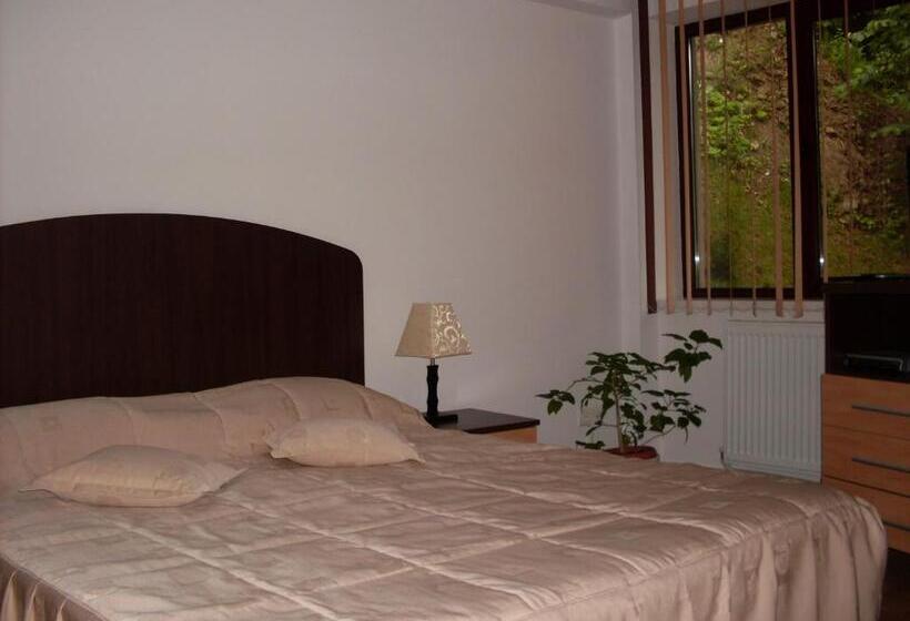 Bed and Breakfast Pensiunea Roua