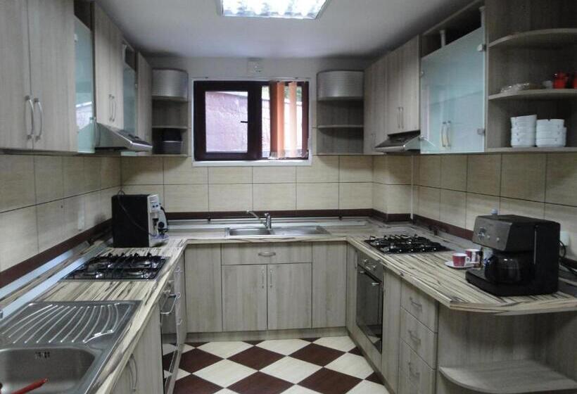 Bed and Breakfast Pensiunea Roua