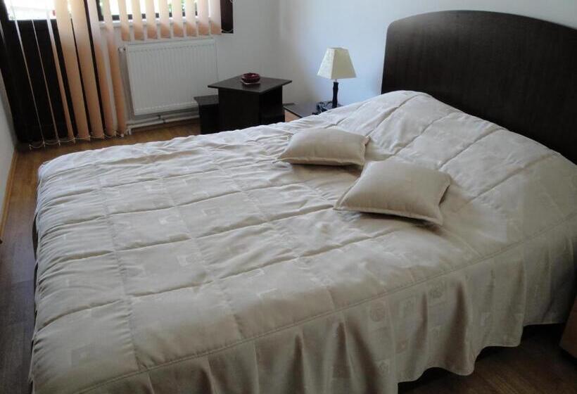Bed and Breakfast Pensiunea Roua