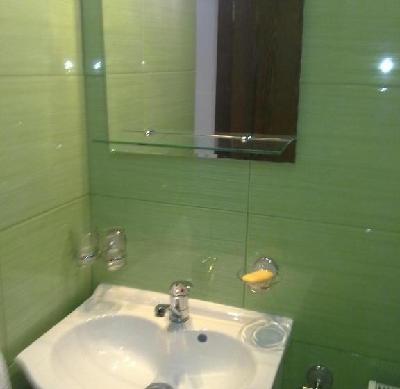 Bed and Breakfast Pensiunea Roua