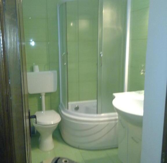 Bed and Breakfast Pensiunea Roua