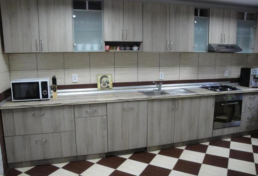 Bed and Breakfast Pensiunea Roua