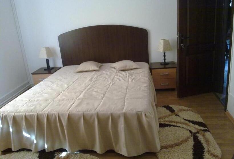 Bed and Breakfast Pensiunea Roua