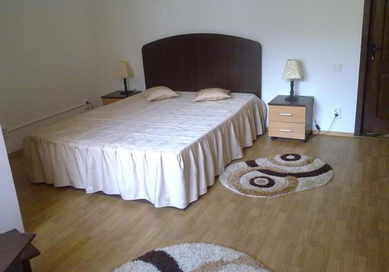 Bed and Breakfast Pensiunea Roua
