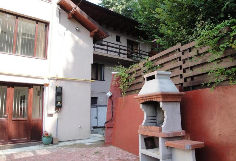 Bed and Breakfast Pensiunea Roua