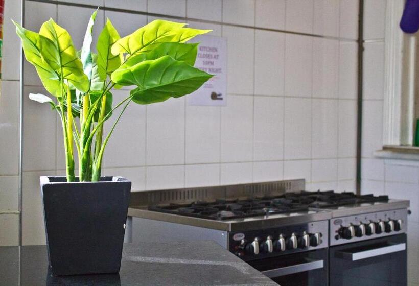 Общежитие Mad Monkey Kings Cross