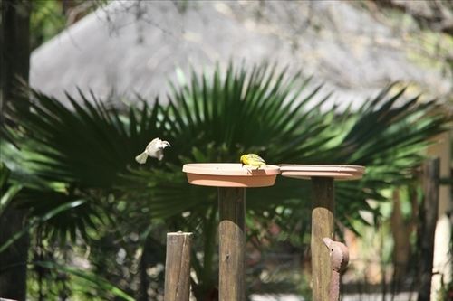 ホテル Mariepskop View