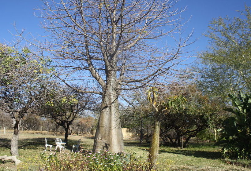 ホテル Mariepskop View