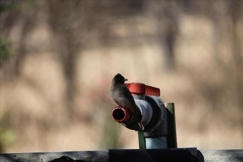 ホテル Mariepskop View