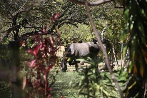 ホテル Mariepskop View