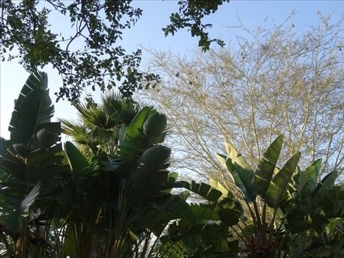 ホテル Mariepskop View