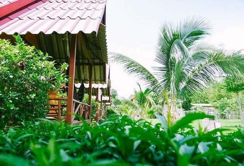 פנסיון Pai Nam Now