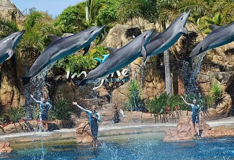 Rhapsody Resort   Official