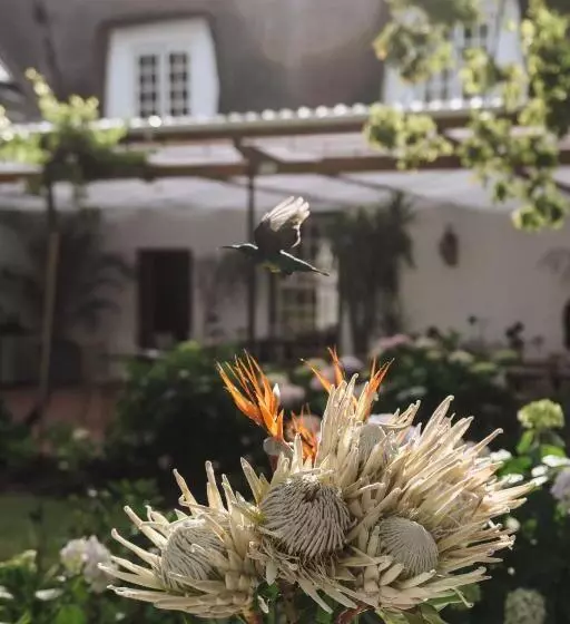 Aamiaismajoitus (B&B) Adara Palmiet Valley Luxurious Boutique Farm