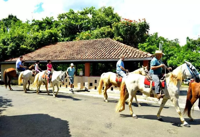ホテル Fazenda Fonte Colina Verde