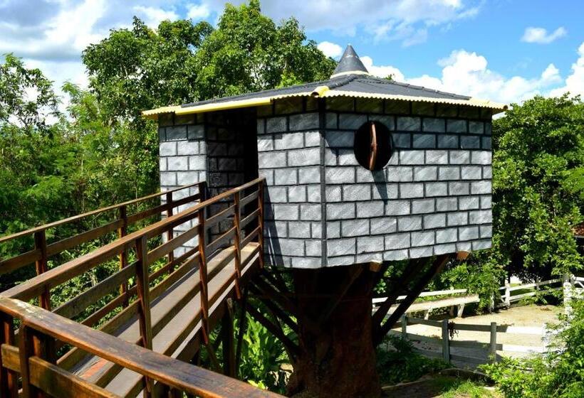 ホテル Fazenda Fonte Colina Verde